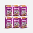 پوچ گربه ویسکاس مدل Chicken وزن 85 گرم بسته 6 عددی