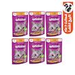 پوچ گربه ویسکاس مدل Chicken وزن 85 گرم بسته 6 عددی