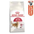 غذای خشک گربه رویال کنین مدل کنترل وزن Regular Fit 32 وزن 2 کیلوگرم