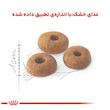 غذای خشک گربه رویال کنین مدل کنترل وزن Regular Fit 32 وزن 2 کیلوگرم