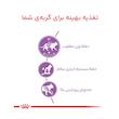  غذای خشک گربه رویال کنین استرالایز مدل Sterilised وزن 10 کیلوگرم
