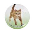 فیگور مدل گربه Domestic ShortHair کد CA954-11 ارتفاع 3.6 سانتی‌متر