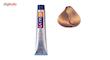 رنگ موی بس سری Beige مدل Light Golden Beige شماره 8.38