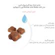 غذای خشک مادر و بچه گربه رویال کنین مدل Mother and Baby وزن 2 کیلوگرم