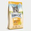 غذای خشک گربه هپی کت مدل hairball control وزن 10 کیلوگرم