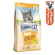 غذای خشک گربه هپی کت مدل hairball control وزن 10 کیلوگرم