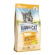 غذای خشک گربه هپی کت مدل hairball control وزن 10 کیلوگرم