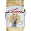 غذای خشک گربه بریتیش رویال کنین مدل British Shorthair وزن 2 کیلوگرم