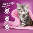 پوچ بچه گربه ویسکاس مدل Kitten in Jelly با طعم مرغ وزن 85 گرم