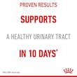 غذای خشک گربه رویال کنین مدل Urinary Care مراقبت از دستگاه ادراری وزن 2 کیلوگرم