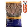 غذای خشک گربه جوسرا مدل DailyCat وزن 10 کیلوگرم