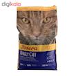 غذای خشک گربه جوسرا مدل DailyCat وزن 10 کیلوگرم