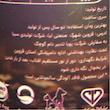 کنسرو غذای گربه پابلو  مدل گوشت گوساله و مرغ و‌ بوقلمون وزن  400 گرم