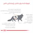 غذای خشک گربه رویال کنین مدل یوریناری اس او وزن 1.5 کیلو گرم