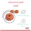 غذای خشک گربه رویال کنین مدل Digestive Care وزن 2 کیلوگرم