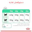 غذای خشک گربه رویال کنین مدل Digestive Care وزن 2 کیلوگرم