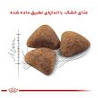 غذای خشک گربه رویال کنین مدل Home Life Indoor وزن 2 کیلوگرم