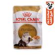 پوچ گربه رویال کنین مدل Persian وزن 85 گرم 
