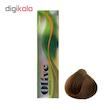 رنگ مو الیو سری Natural شماره 7.00 حجم 100 میلی لیتر رنگ بلوند قهوه ای