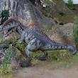 اکشن فیگور مدل دایناسور طرح Giganotosaurus کد 1010