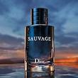 ادو پرفیوم مردانه دیور مدل Dior Sauvage حجم 100 میلی لیتر