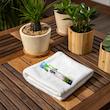 مسواک سبز دن تک مدل pro Green با برس نرم مجموعه دو عددی