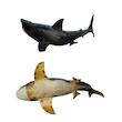 اکشن فیگور مدل دایناسور کوسه مگالودون فک متحرک طرح Megalodon Sharks