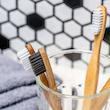مسواک مستر پاندا مدل بامبو با برس متوسط