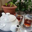 صافی چای مدل 4556