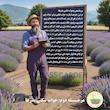 بذر میوه توت فرنگی گلدانی گلس گاردن مدل GL50