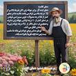 بذر میوه توت فرنگی گلدانی گلس گاردن مدل GL50