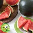 بذر هندوانه دیمی گیلدا کد 713