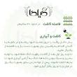 بذر گل کلم گیلدا کد 312