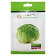 بذر کاهو پیچ بذر طلایی برتر کد BZT-71