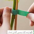 نگهدارنده گیاه مدل چسبی بسته 2عددی