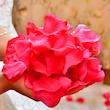 گلبرگ تزئینی مدل سوگل مجموعه 4 عددی