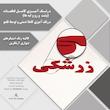 شعر باید که جمله جان شوی تالایق جانان شوی کد 01