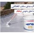 مواد عایق بندی نانو ژیکاوا مدل Zhikabam_AntiBacterial وزن یک کیلوگرم