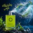 ادو پرفیوم مردانه هارلینگن مدل مگاماره اورتو پاریسی با رایحه خنک حجم 55 میلی لیتر