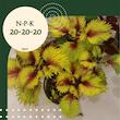  کود NPK 20-20-20 آگنس مدل Ag202020 وزن 200گرم