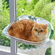 جای خواب گربه مدل شیشه ای مکشی window Bed