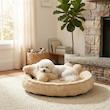 جای خواب سگ و گربه مدل Teddy طرح استخوان به همراه بالش