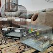 قفس طوطی سانان کد NF 1034