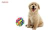 توپ اسباب بازی سگ تو در تو مدل Juguetes Perro Ball-S