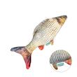 اسباب بازی گربه سویل پت مدل Carp Catnip