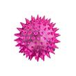 اسباب بازی توپ خاردار لاتکسی سگ مدل Latex Dog Ball