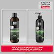 شامپو مو ساین اسکین مدل Sebo Regulator مناسب برای موی چرب حجم 280 میلی لیتر