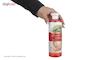 شامپو ژیوانا مدل Ginseng حجم 500 میلی لیتر