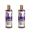شامپو مو ژیوانا مدل Lavender حجم 500 میلی لیتر بسته 2 عددی 