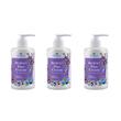 کرم آبرسان سوپکس مدل BLUEBERRY حجم 250 میلی لیتر مجموعه 3 عددی